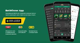 Comprehensive Guide to BetWinner Customer Support